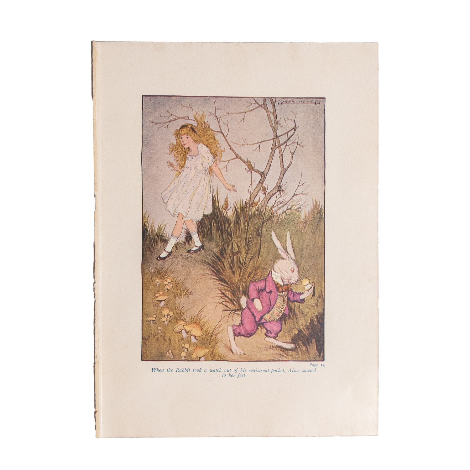 Alice in Wonderland (1916 Windermere Series) - Color Plates - Color Plates | Last Manner