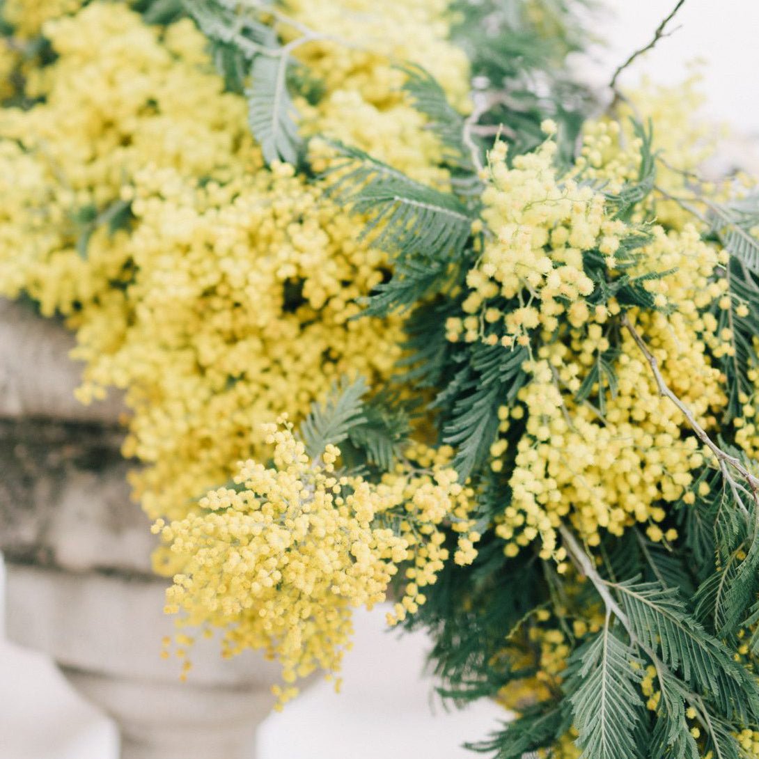 TOKYO KODO First Collection Incense - Incense | Last Manner