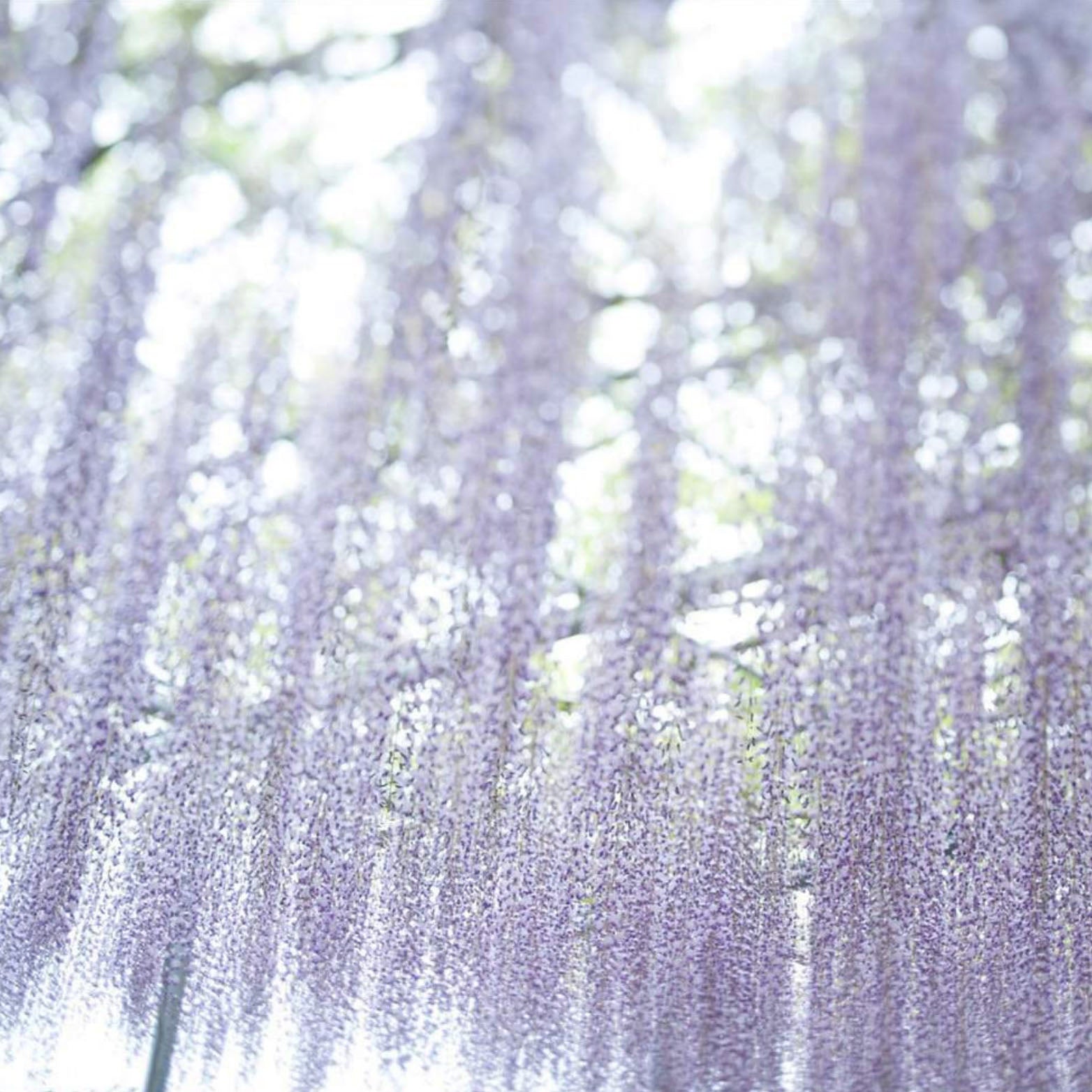 TOKYO KODO First Collection Incense - Incense | Last Manner